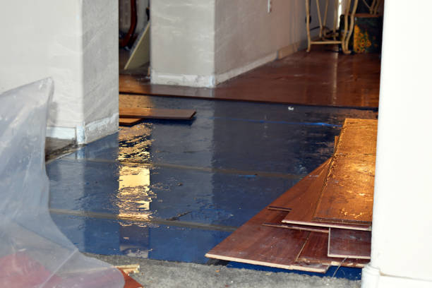 Professional Basement Flood Cleanup technician working in Henriette, MN